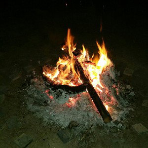 Summer Night