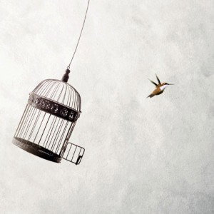 🕊️Freude und Freiheit🕊️