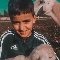 كان يا مكان