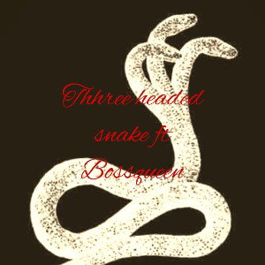 Three headed snake ft Arri Ferguson 