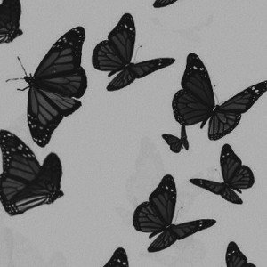 Butterfly (remastered)