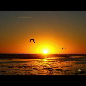 llegará(freestyle)