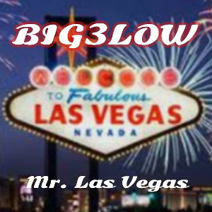 MR. LA$ VEGA$