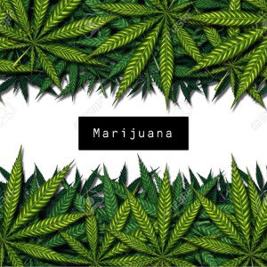 Marijuana (Freestyle)