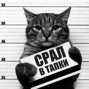чпокну я тебя опять