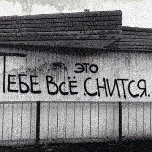 Стороны медали