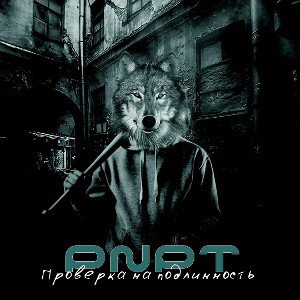 PNPT - проверка на подлинность 