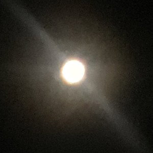 Staring at the Moon 