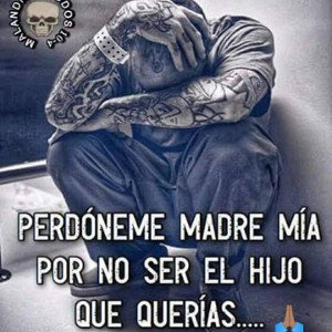 perdón  jefita 🙏🏽🙏.     freestyle 🔥🙏🏽