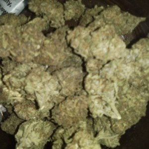 I Get The Bag- @HighAsFuckYo 