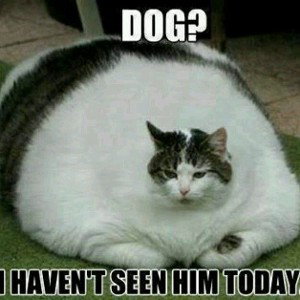 BAMBOOZLED (16:48)