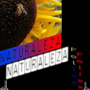 Naturaleza 