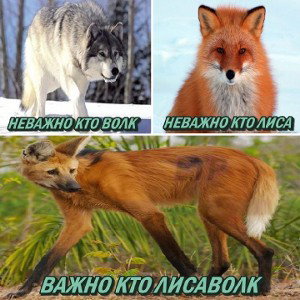 эй диджей 🤤