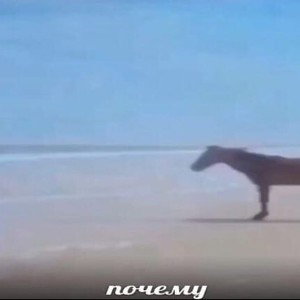 попытка #1      