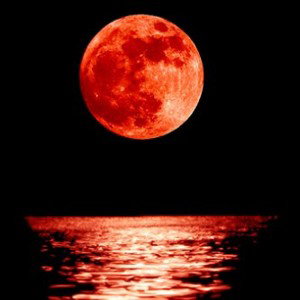 Eclissi-Voglio Divertirmi