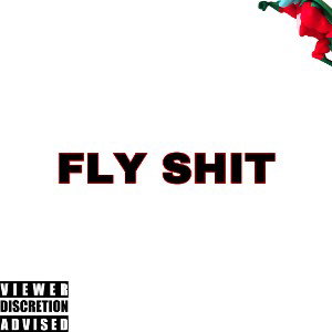 fly shit 