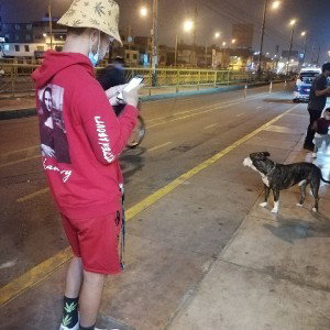 Mc Gregor 