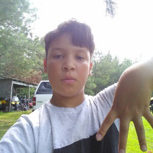 pistol grip