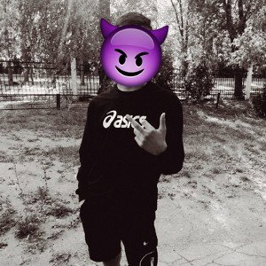 Black horce