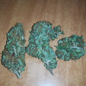 3 Tiri e la passi/La prasSi Fre€