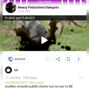 FlunghisASS