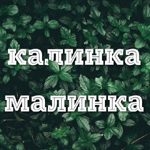 GOLDEN.GOL-Калинка малинка