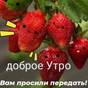 ☯Подводний☯ 10.06.2020 20:37