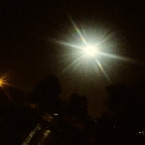 ELBENYY-PARAFUMARLA
