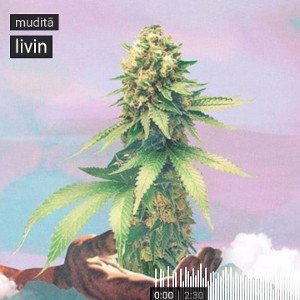 livin (ft hunter lane)