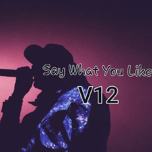 Say What You Like
