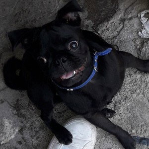 cocoliso_Túnel