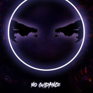 No Guidance