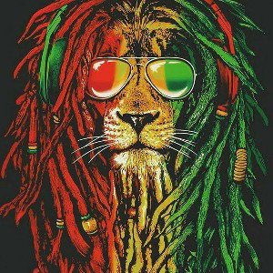 every body got Bar's 