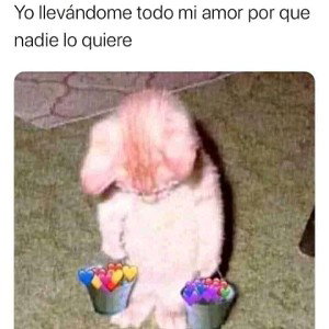 adios