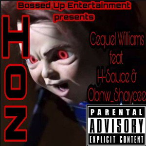 Hoz Offical