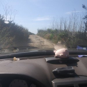 I'm coming