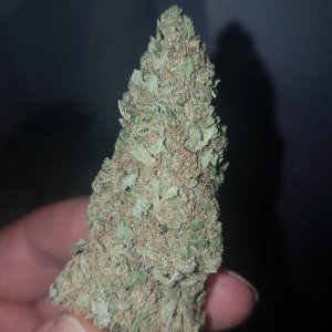Acapulco