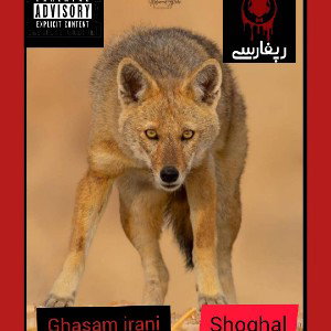shoghal