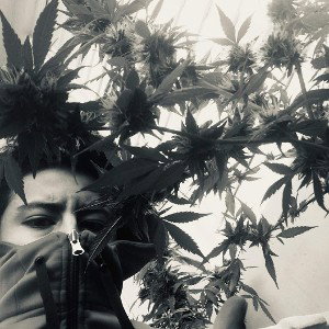 En  mi cuarto