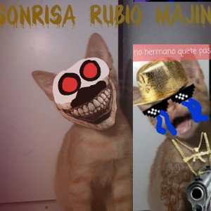 rubio majin vs anuelrubioaa