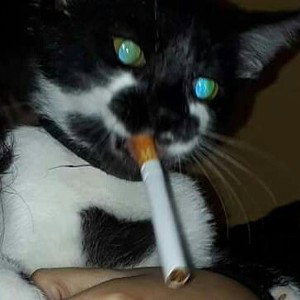SmokeAlcoholMoney