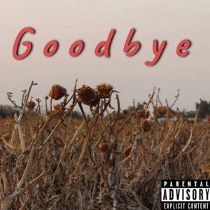 Goodbye 
