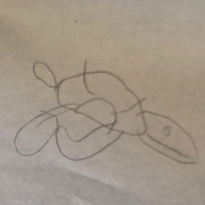 Sell turtles in a mall