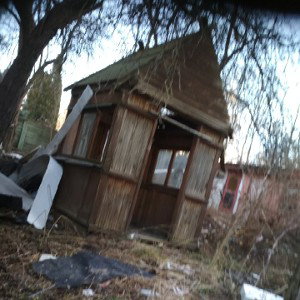 Новый год в джунглях