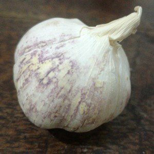 cazavampiros