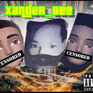King(freestyle)