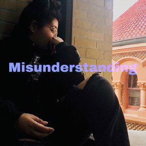 Misunderstanding 