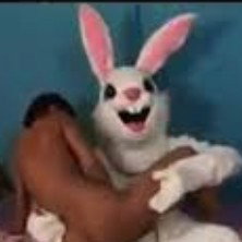 WhaKKittti🥕WaBBit 