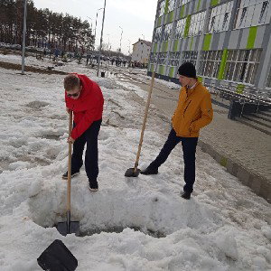 Авокадо