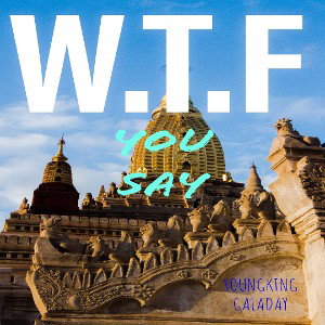 WTF YOU SAY